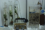 itb-contribution-in-biochemistry-exploration-and-innovation-put-an-end-to-nations-problems