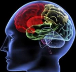 brain-computing-brain-waves-application-in-biomedical-engineering