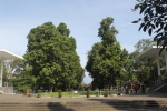pesona-hijau-bersemarak-di-kampus-ganesha