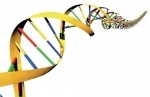 tim-itb-siap-ikuti-international-genetically-engineered-machine-di-boston-as