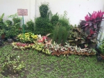 hmtl-itb-aplikasikan-keilmuan-lewat-proyek-rain-garden-di-sekolah-menengah