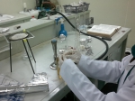 anti-microbial-wrapping-paper-from-akar-wangi-waste