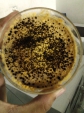 biosolubilisasi-batubara-teknologi-produksi-bahan-bakar-cair-dari-batubara