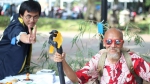 hotaru-summer-festival-introduced-japanese-culture