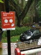 satoe-indonesia-now-everyone-can-be-a-gardener