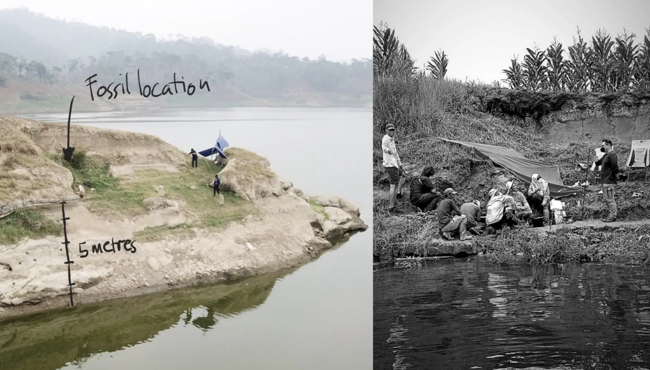 itb-geological-engineering-team-excavated-almost-submerged-fossils-from-saguling-reservoir