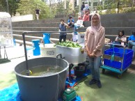 commemorating-70th-year-of-biology-education-various-research-from-sith-displayed-in-the-art-of-urban-farming